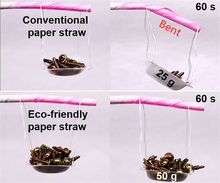 Criados canudos de papel 100% biodegrad