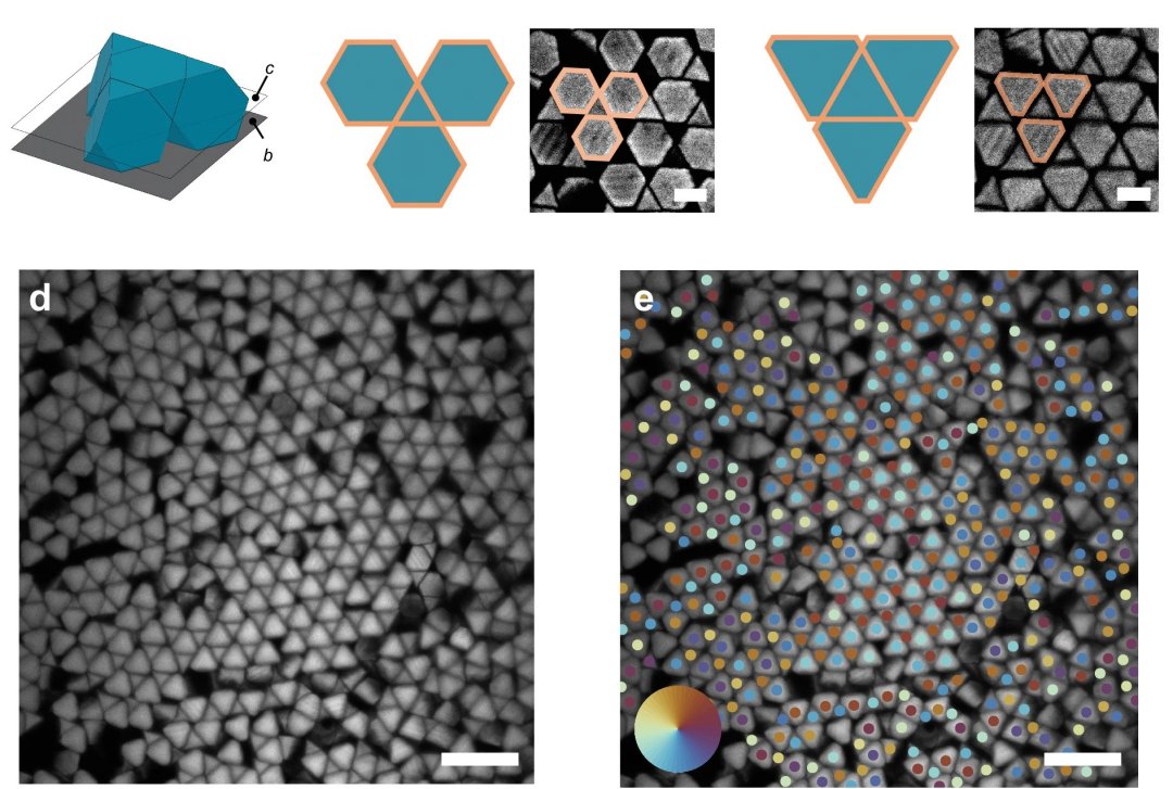 Como criar materiais com propriedades impensveis usando nanopartculas impressas em 3D