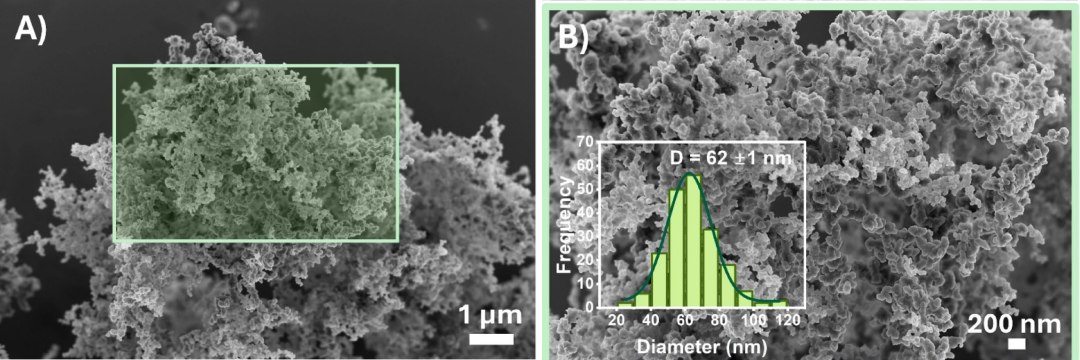 Folhas de caf viram nanopartculas e componentes eletrnicos para computao verde