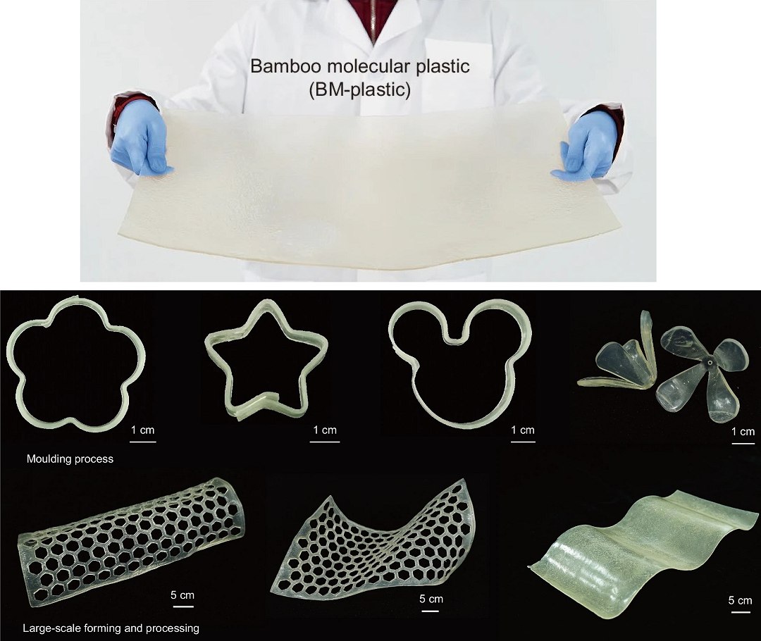 Plstico de bambu atinge resistncia industrial,  reciclvel e biodegradvel 