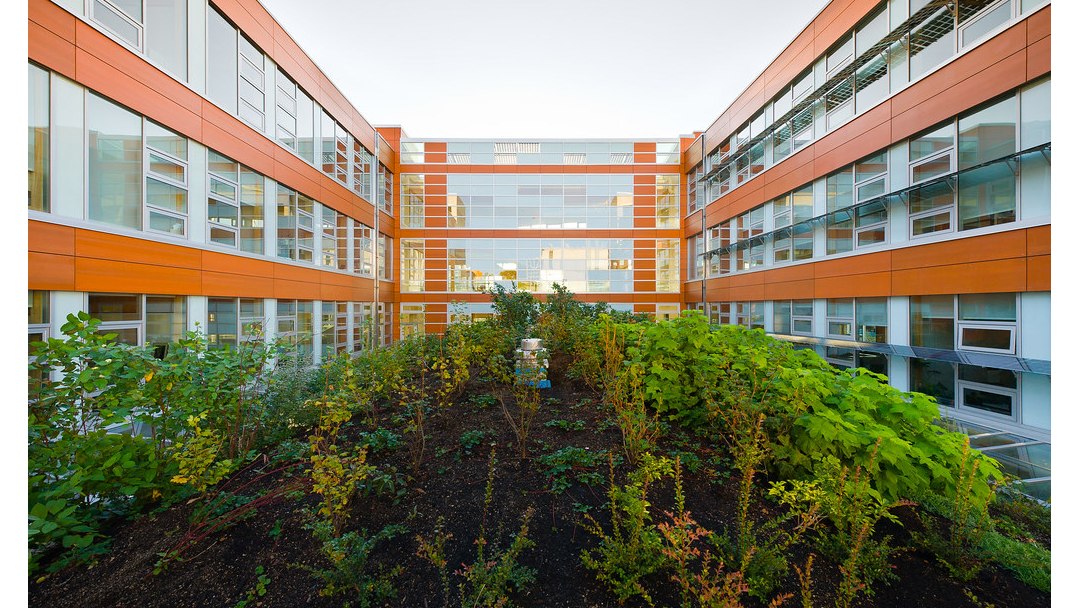 Tcnica para fazer mmias vai ajudar a preservar a madeira