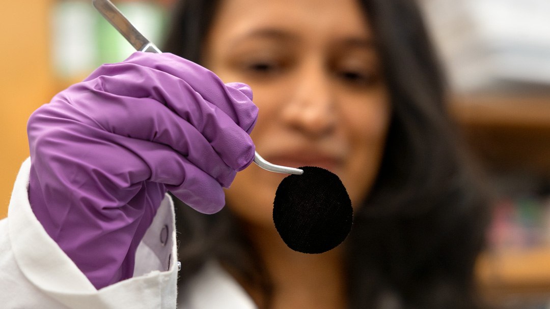 Tecido mais preto do mundo  inspirado em ave-do-paraso