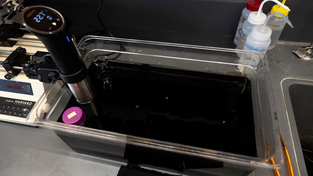 Tecido mais preto do mundo  inspirado em ave-do-paraso