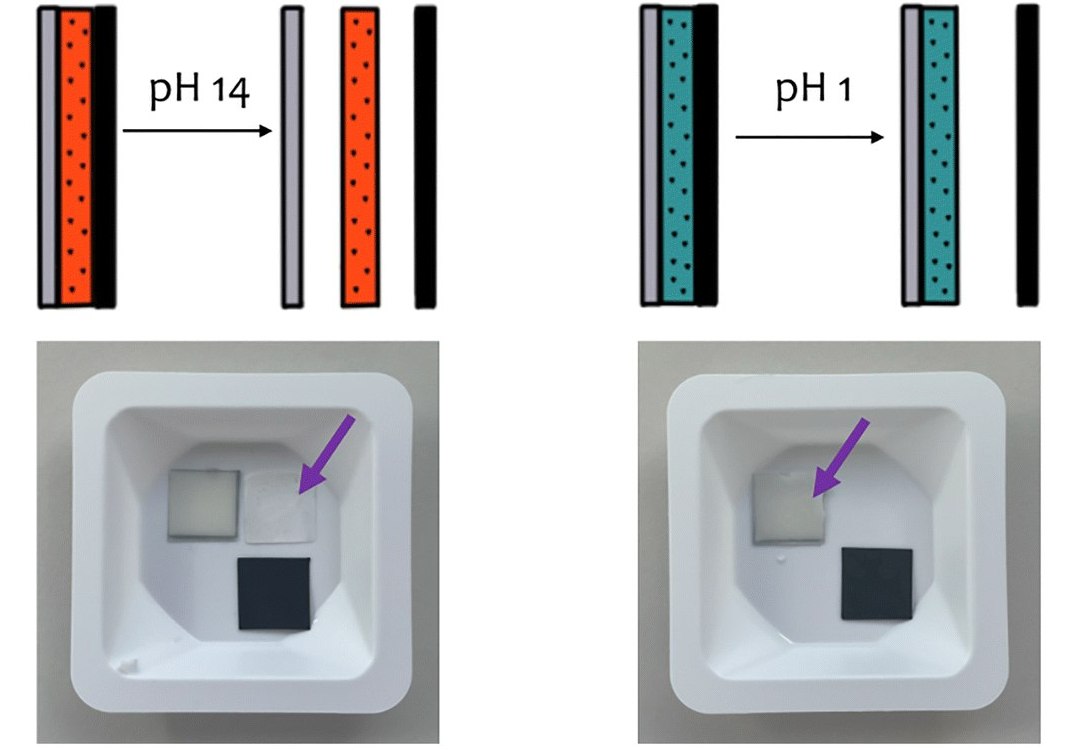 Cola reversível facilitará reciclagem e reaproveitamento