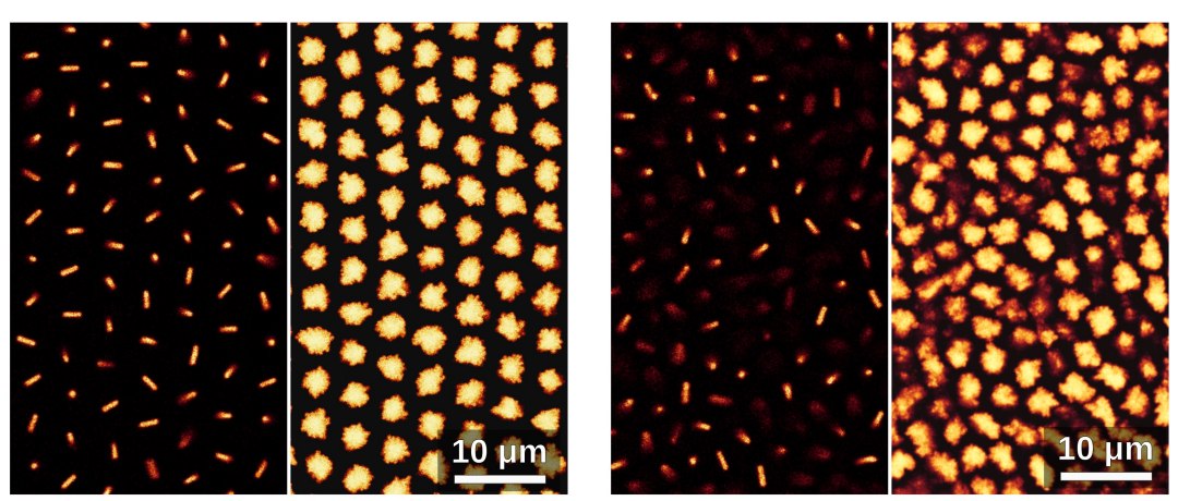 Vidro em equil�brio desmente mito das janelas das catedrais