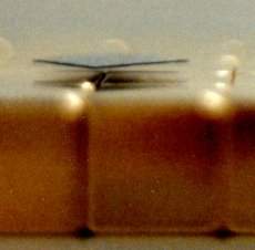 Cientistas movem líquidos por levitação magnética em microlaboratórios