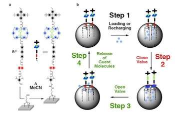 Nanoválvula  menor torneira do mundo controla passagem de moléculas