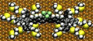 Cientistas projetam rotor molecular