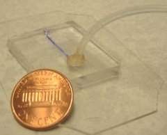 Microlaboratrio poder substituir mtodos de fertilizao in-vitro