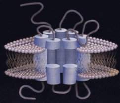 Nariz eletrnico  criado com nanobiosensores