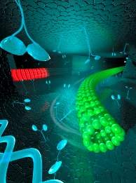 Motores biológicos ordenam moléculas uma a uma no interior de um chip