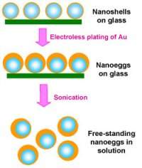 Cientistas criam um nano-ovo