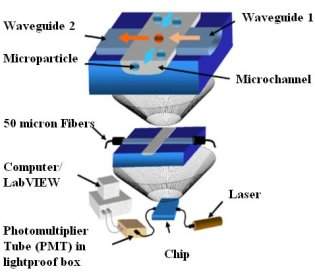 Biochips agora tm seu prprio sistema ptico