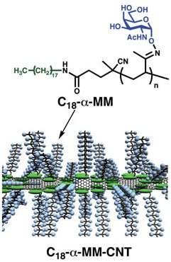 Nanotubos de carbono biocompatíveis
