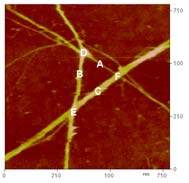 Eletrnica e neurnios podem se falar por meio de nanotubos de carbono