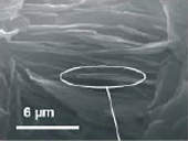 Material luminescente tem memria graas a seu arranjo estrutural