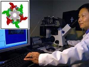 Microscpio ptico agora consegue visualizar molculas individuais em tempo real