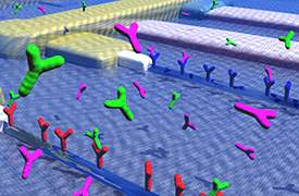 Sensores de nanofios têm mesma dimensão das moléculas que detectam