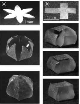 Micro-origami utiliza tenso superficial da gua para fabricar MEMS