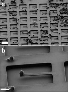 Nano-fbrica agora conta com nano-peneiras vibratrias