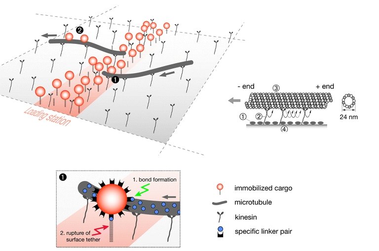 Nano-linhas de produo comeam a dar formas a nanofbricas