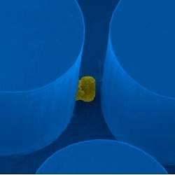 Biochip detecta clula cancerosa no meio de um bilho de clulas sadias