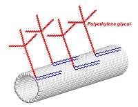 Estudos de toxicidade abrem porta para uso de nanotubos na medicina