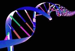 Molculas de DNA metalizado viram ferramentas para nanotecnologia