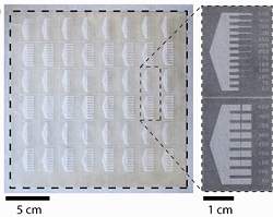 Biochip de papel baratear exames clnicos e anlise da gua