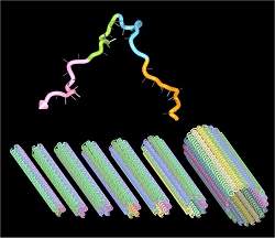 Nanotubos de DNA servirão como moldes e dutos em nanomáquinas