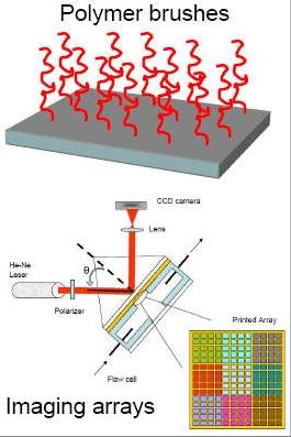 Escova molecular liga eletrnico ao biolgico e cria bioclulas de energia