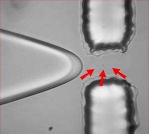 Nanoqumica acondiciona molculas individuais em cpsulas de gua