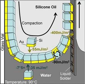 Clulas solares encontram sozinhas seu lugar no painel solar