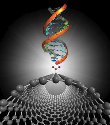 Bioeletrônica: nanotransístor estuda interações entre moléculas