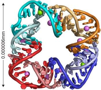 Menor aliana de casamento do mundo  feita de DNA