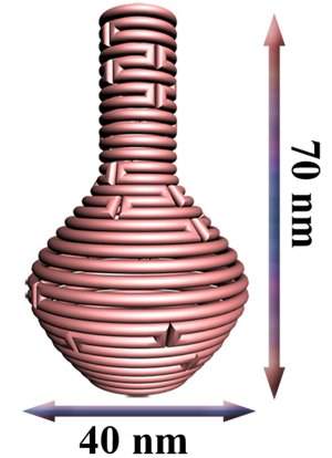 Origami de DNA cria nanoestruturas 3-D