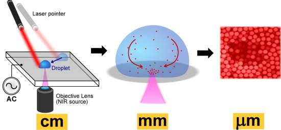 Laser e campos eltricos combinados em nova tcnica de <i>lab-on-chip</i>