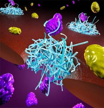 Imitando a natureza em nanoescala: nanoporo seleciona proteínas