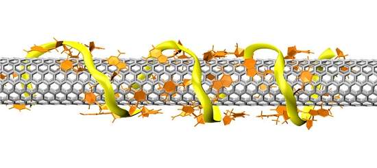 Molcula de DNA seleciona nanotubos para fabricao de fios qunticos