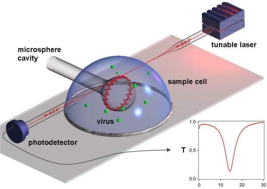 Sensor de luz detecta e pesa menor vírus conhecido