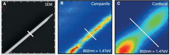 Microscpios eletrnicos passam a enxergar em cores