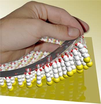 Mata-borro nanotecnolgico cria nanoestruturas com preciso molecular