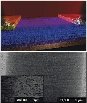 Fotodetector de nanotubos captura luz de forma contnua