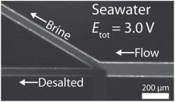 Chip da água dessaliniza água do mar a conta-gotas
