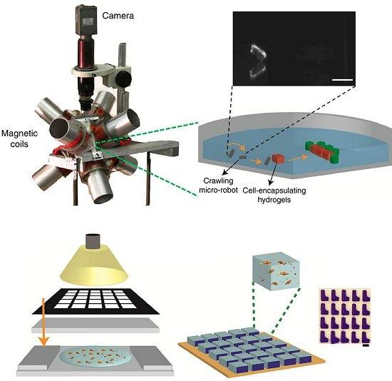 Nanomontagem robtica mostra futuro das biofbricas