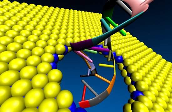 Sequenciamento genético por nanoporos preciso e automatizado