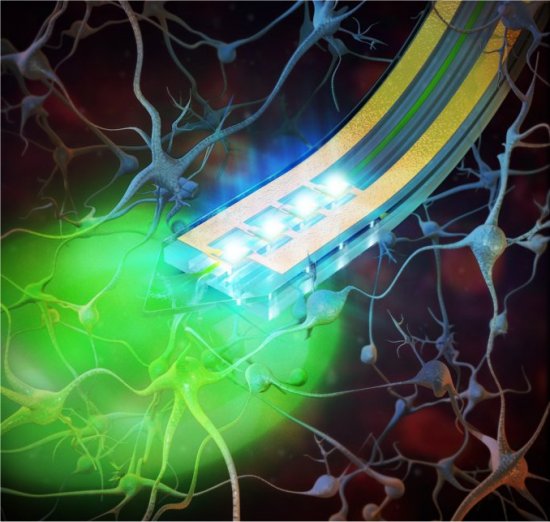 A nanotecnologia que controla o cérebro com luz