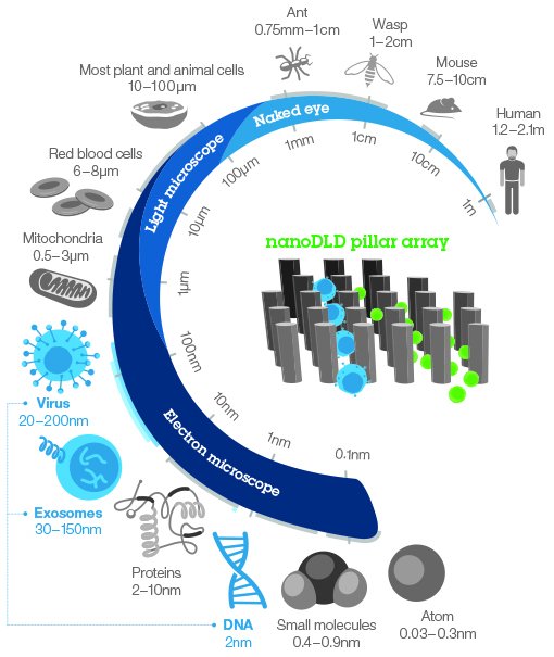 IBM lana chip biolgico para diagnosticar doenas