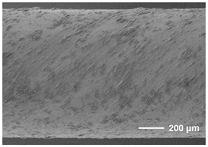 Nanogerador hemoelétrico gera energia da corrente sanguínea