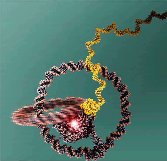 Nanocarro solta RNA no escapamento